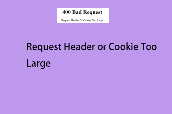 Request Header or Cookie Too Large: How to Fix It?
