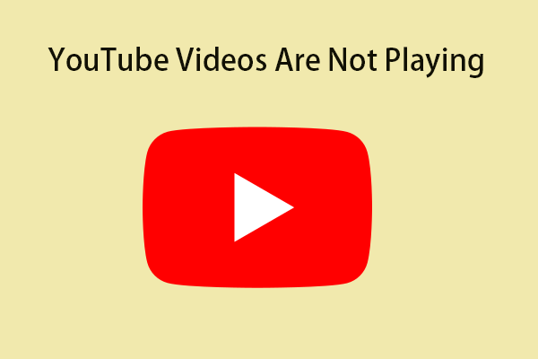 YouTube Videos Are Not Playing on Windows 11? Fix It Now!