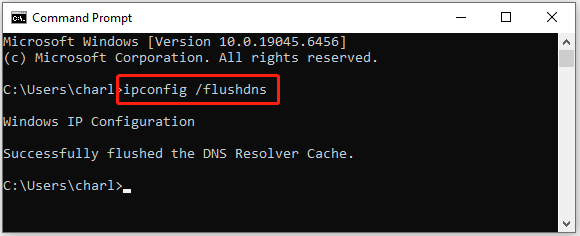 run command in Command Prompt to clear DNS cache